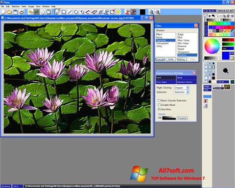 Screenshot Pixia für Windows 7