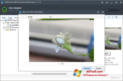 Screenshot USB Flash Drive Recovery für Windows 7
