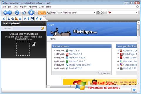 Screenshot Flock für Windows 7