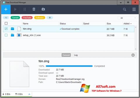 Screenshot Free Download Manager für Windows 7