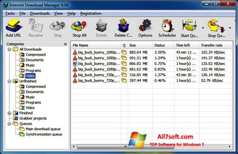 Screenshot Internet Download Manager für Windows 7