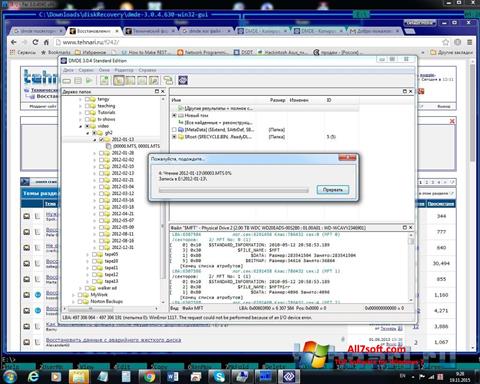 Screenshot DMDE für Windows 7