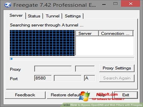 Screenshot Freegate für Windows 7